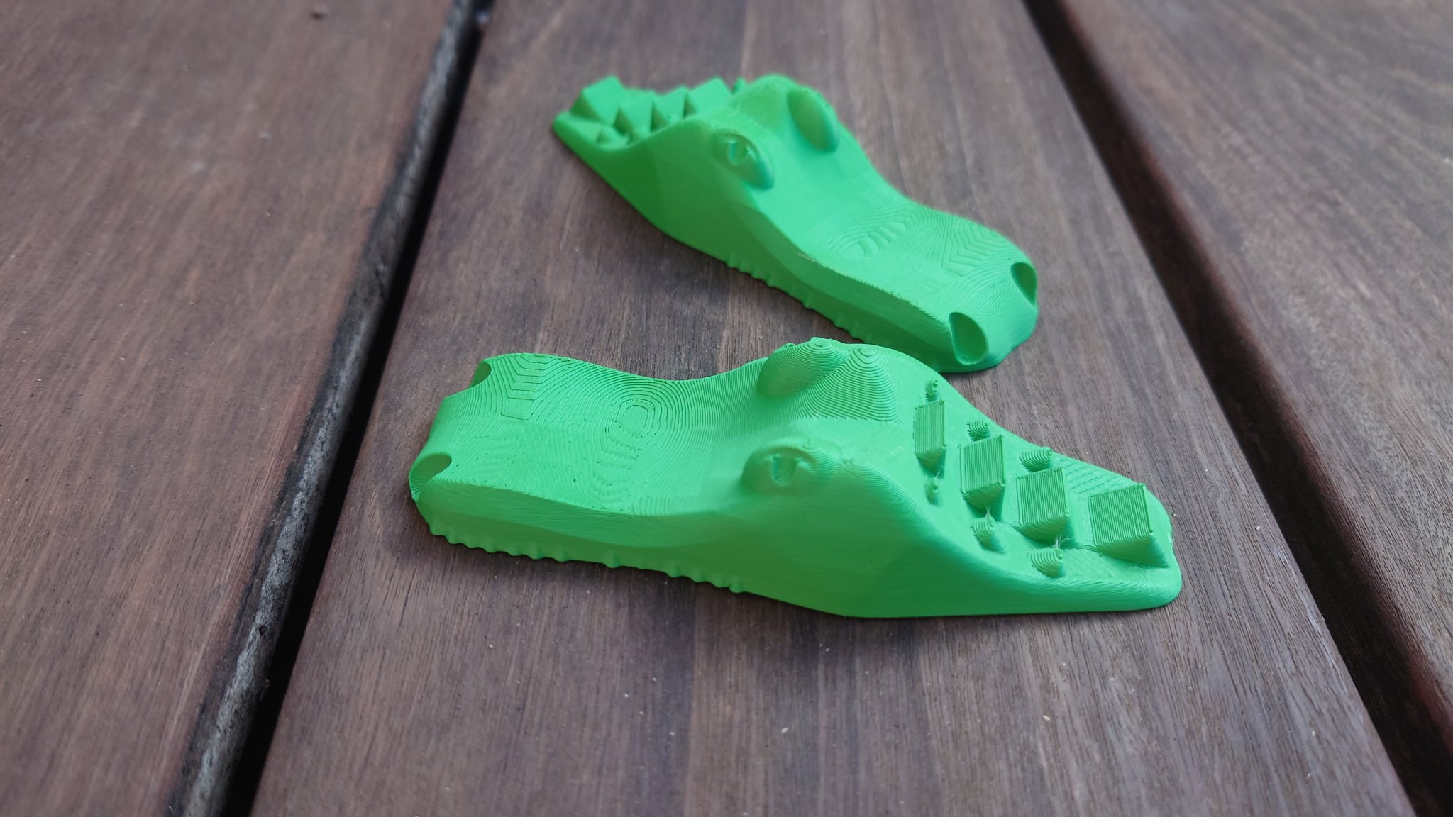 Cá Sấu Bơi Lội