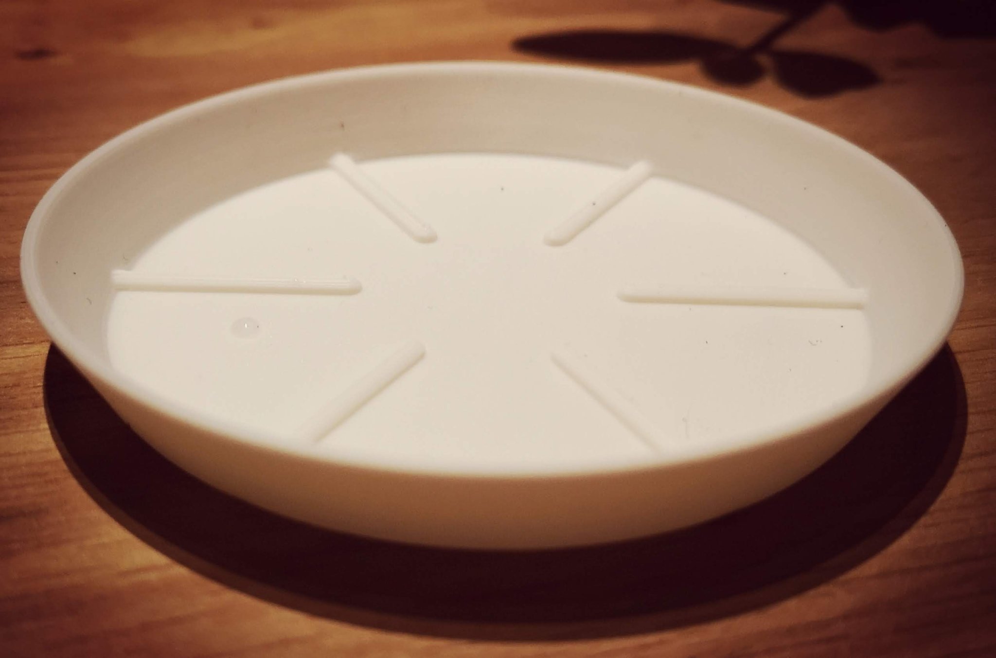 Tiêu đề AquaGuard Custom Saucer The Ultimate Plant Base Creator Tóm tắt