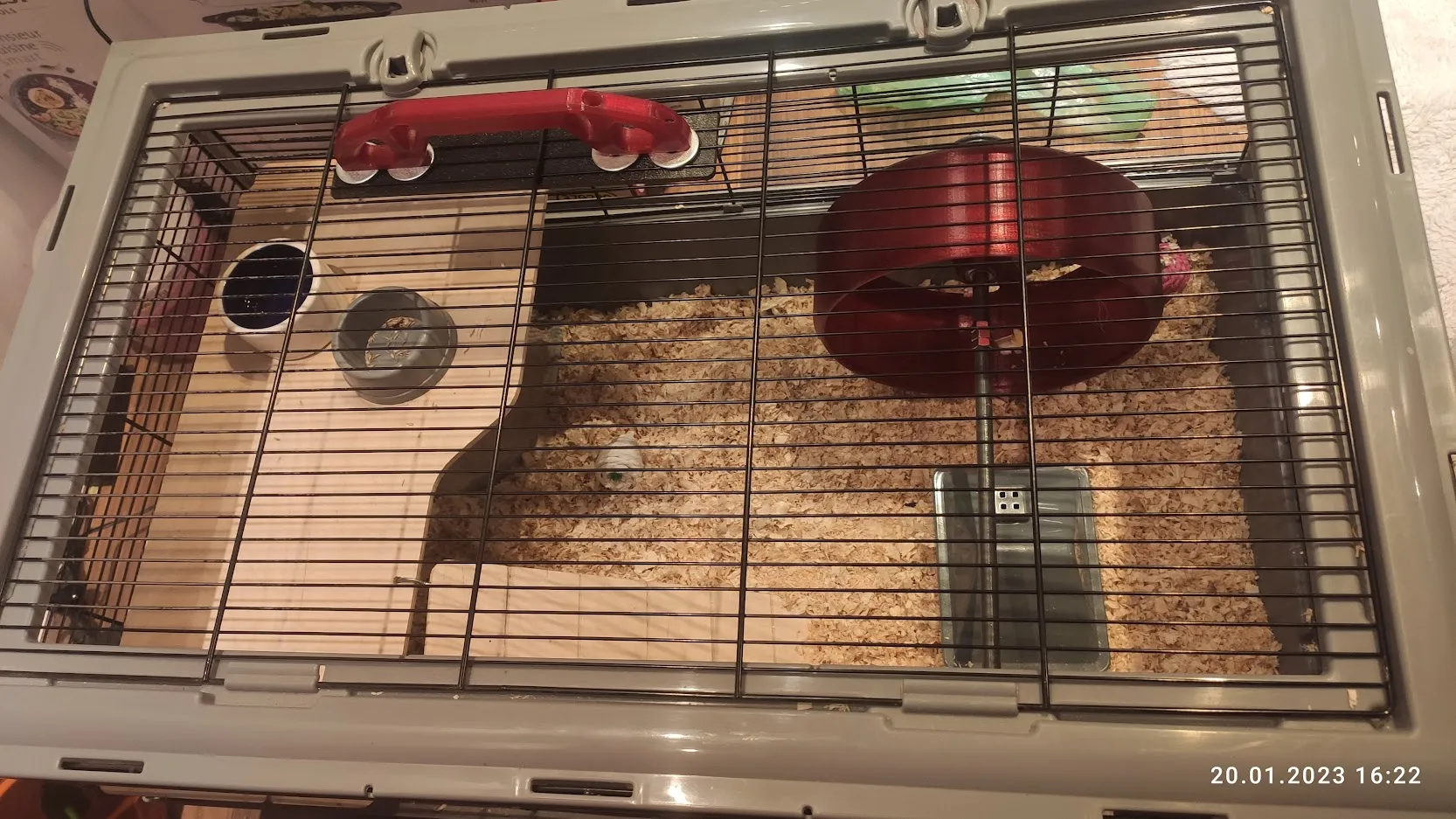 Tiêu đề AR Bánh xe hamster lớn có vòng bi Tóm tắt Bánh xe hamste