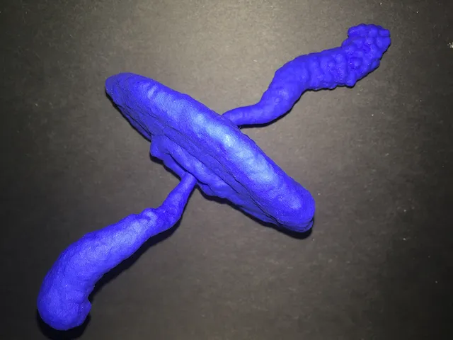 Tiêu đề Tinh vân Con Cua Tóm tắt Tinh vân Con Cua cho thấy phần