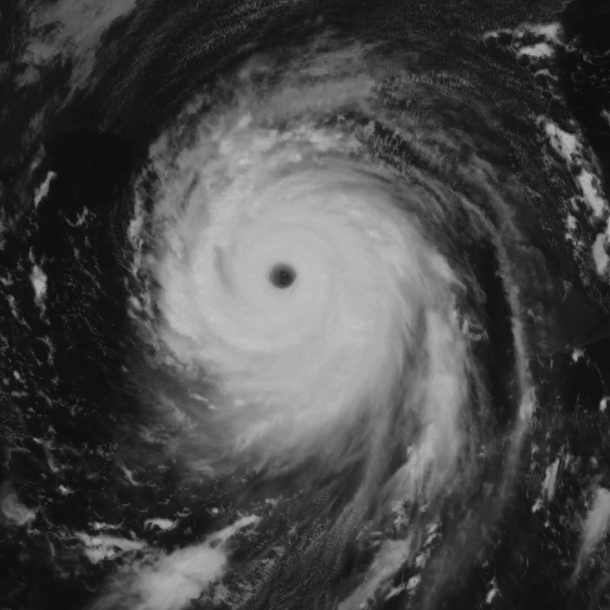 Tiêu đề Bão Katrina Tóm tắt Bão Katrina 2005 được xếp hạng