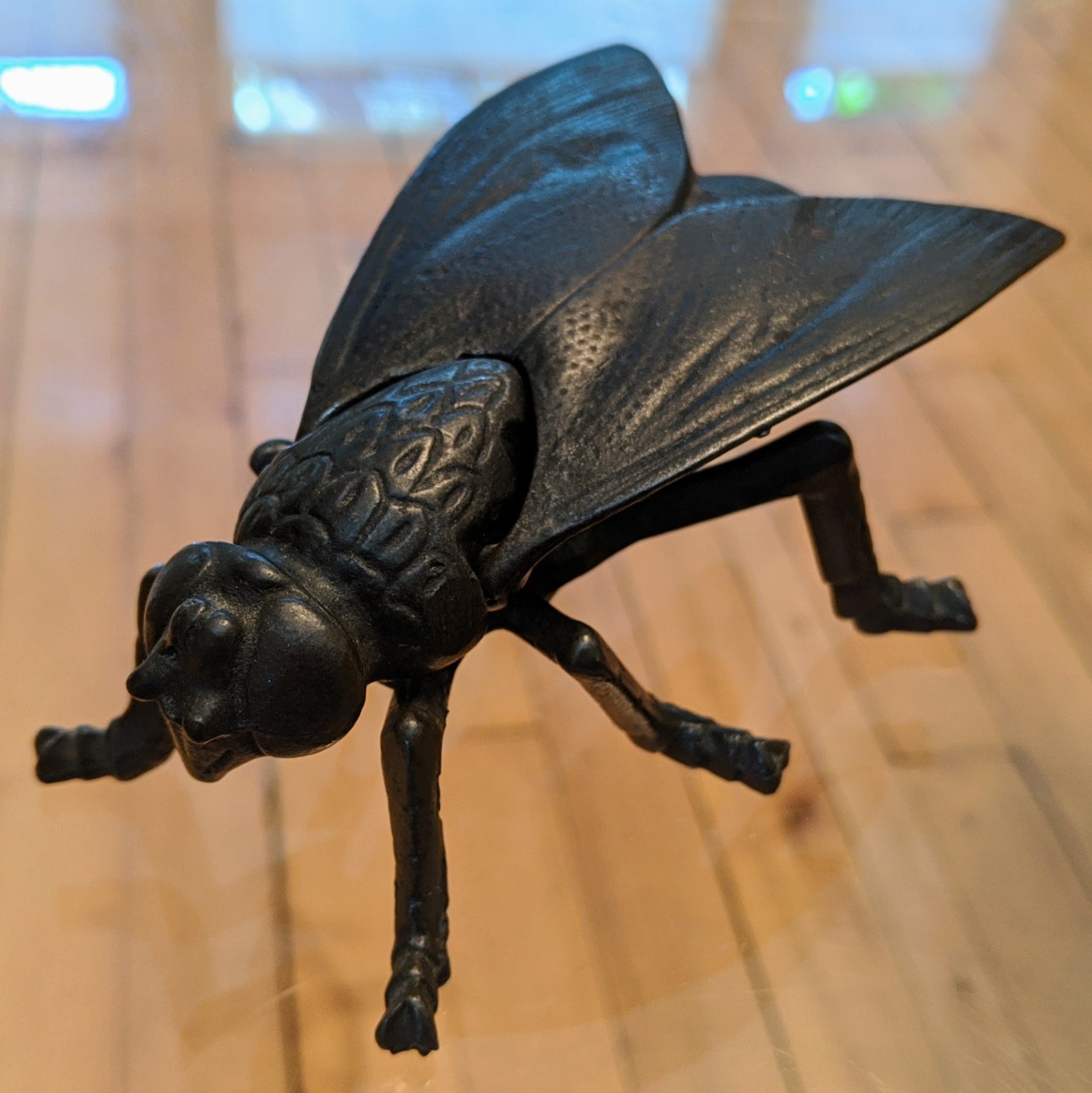 Tiêu đề Con ruồi Tóm tắt Bản quét hộp đựng que diêm bằng