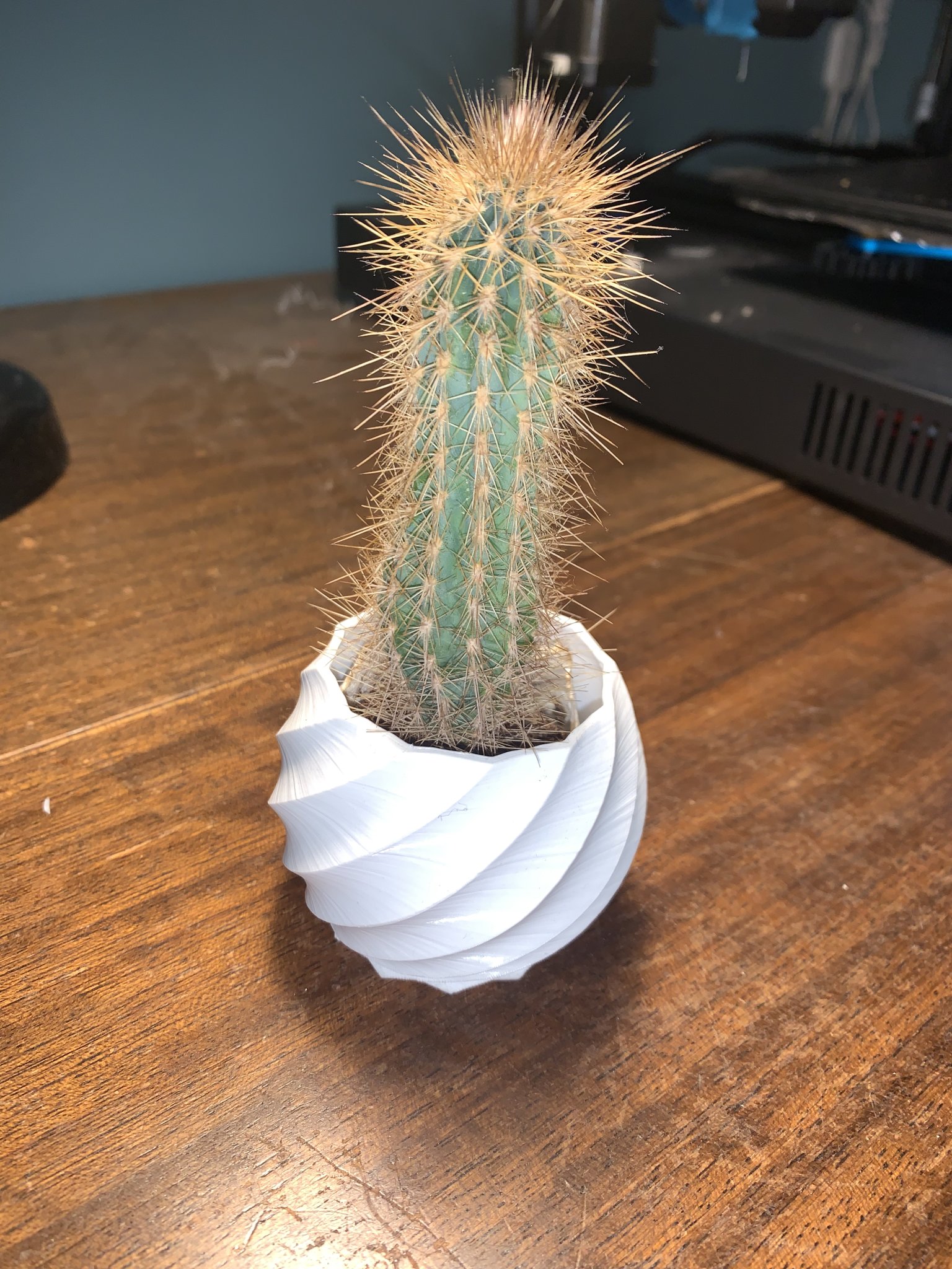 Small Curved Plant Vase