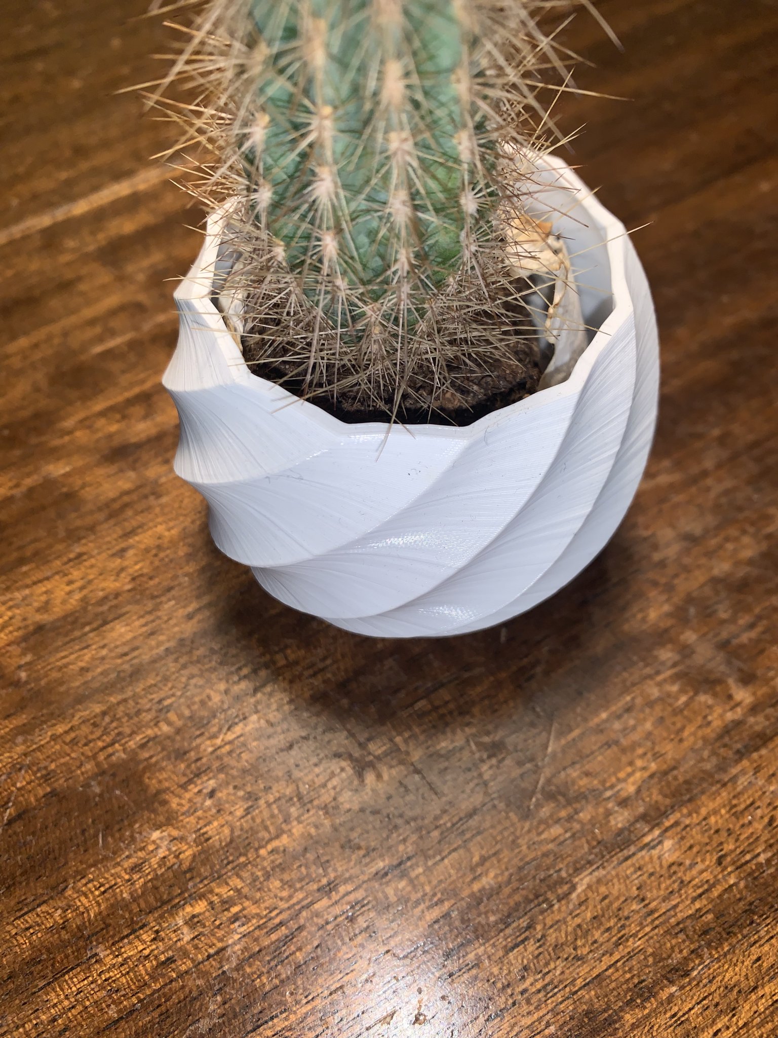 Small Curved Plant Vase