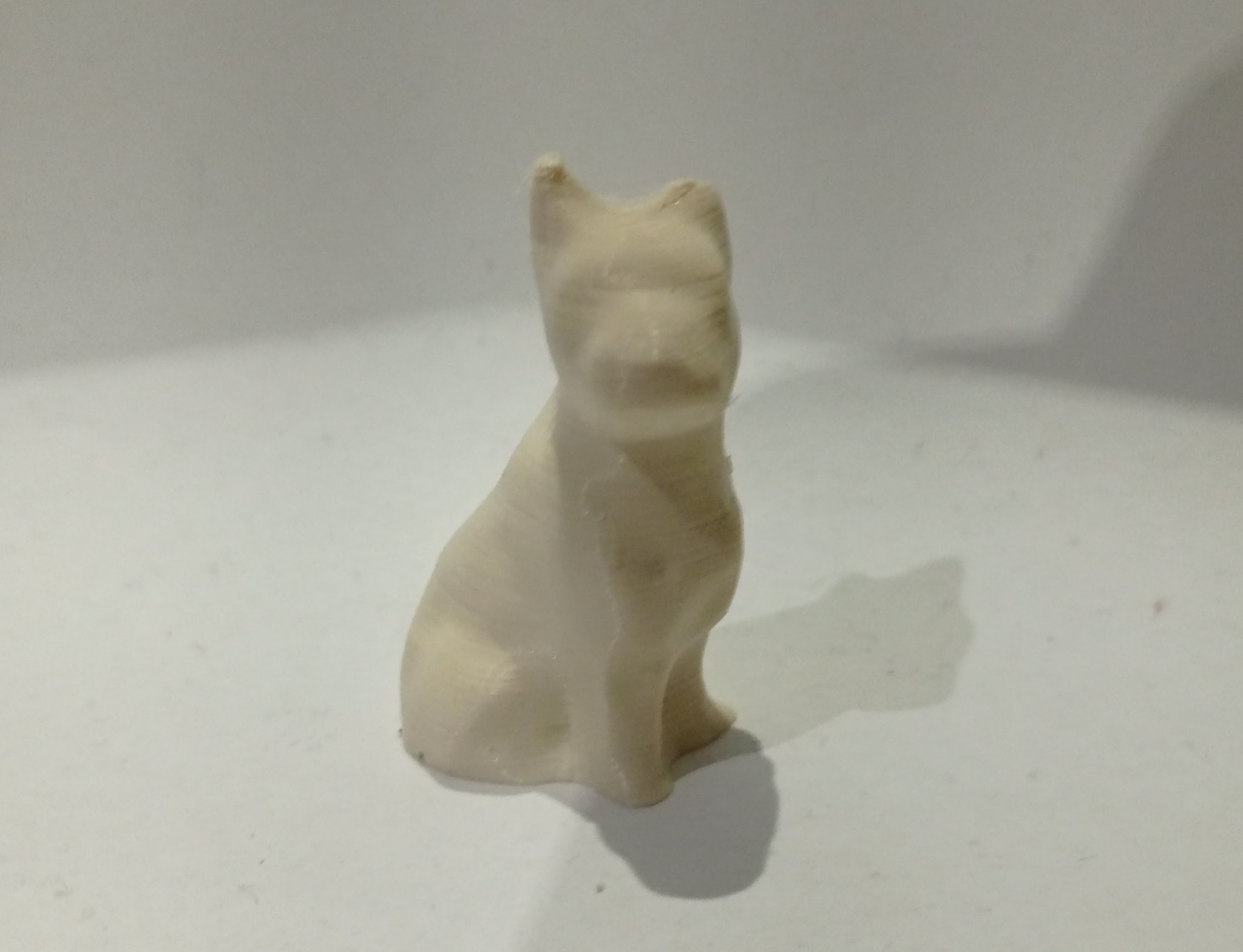 Doggy - Mẫu động vật đầu tiên của mình