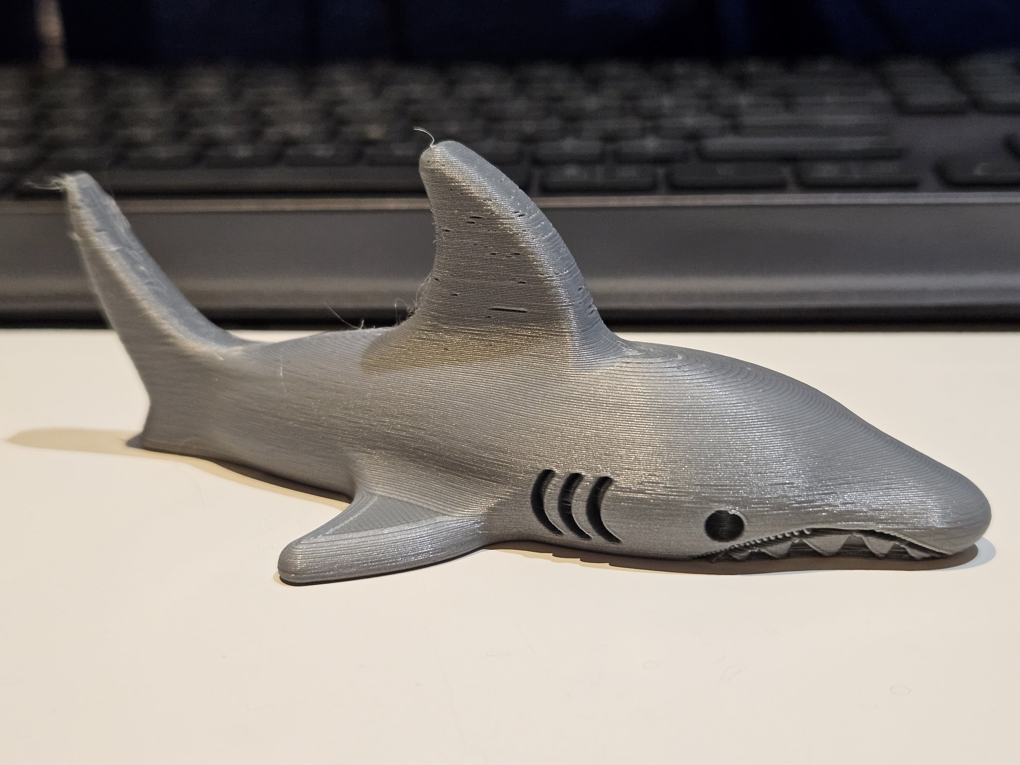 Tiêu đề Cá mập Tóm tắt Shark được thiết kế cho Cuộc vận