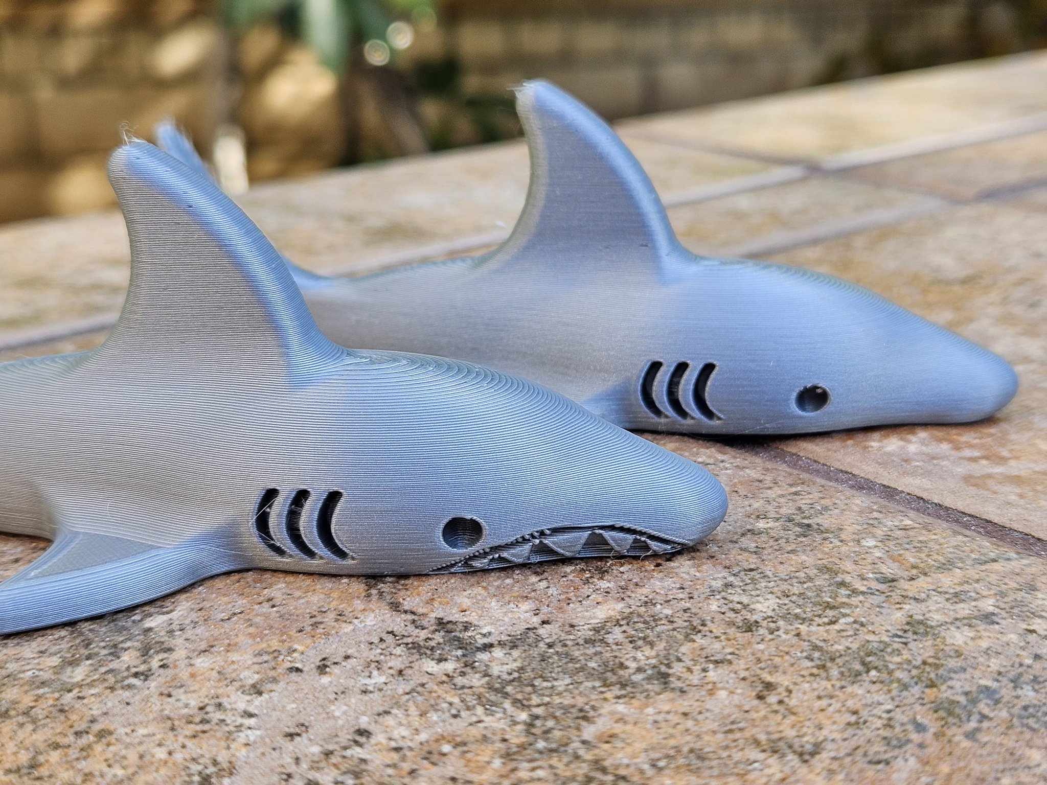 Tiêu đề Cá mập Tóm tắt Shark được thiết kế cho Cuộc vận