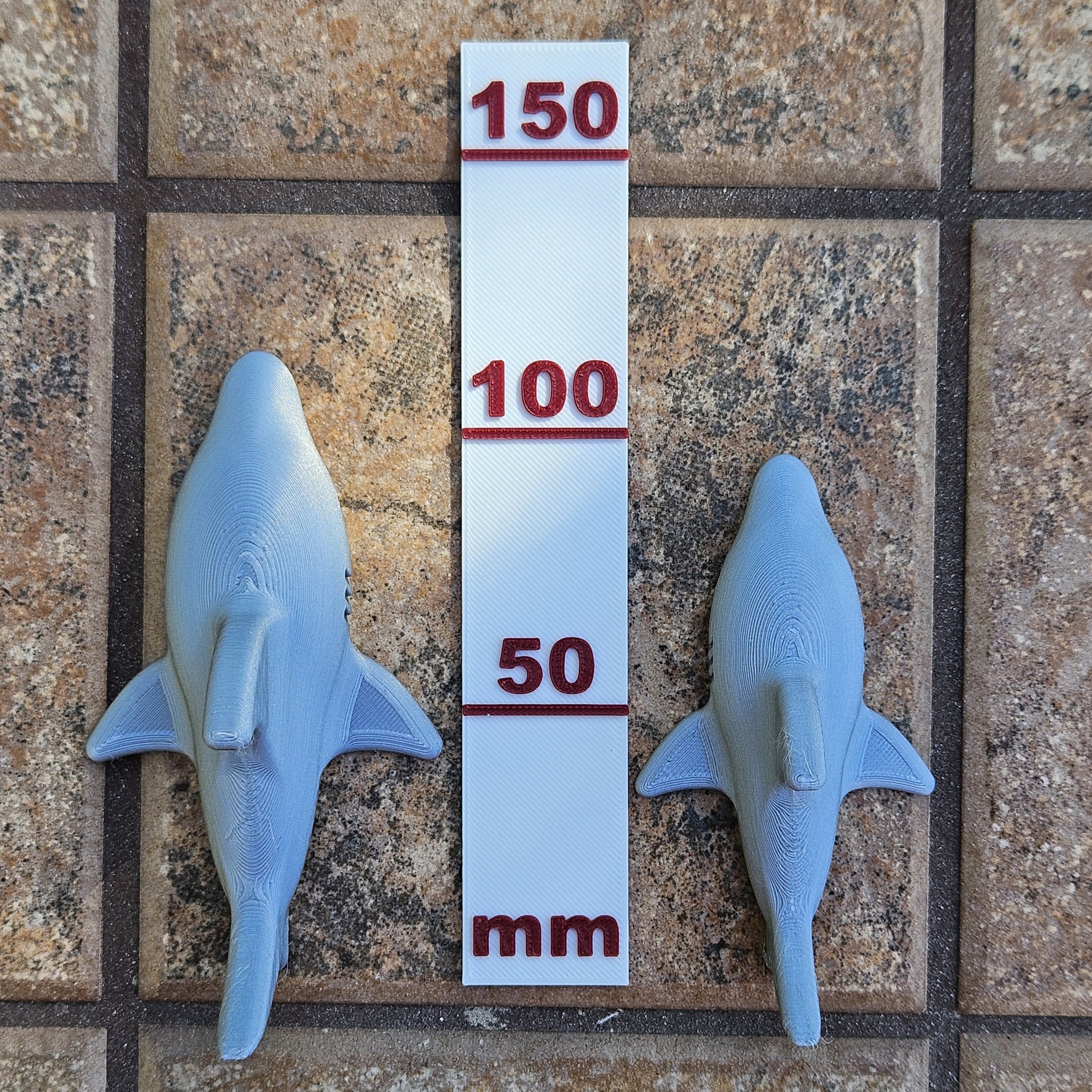 Tiêu đề Cá mập Tóm tắt Shark được thiết kế cho Cuộc vận