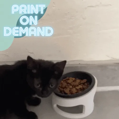 Tiêu đề CAT CUP - GAMELLE CHAT Tóm tắt cette gamelle est un modèle qu