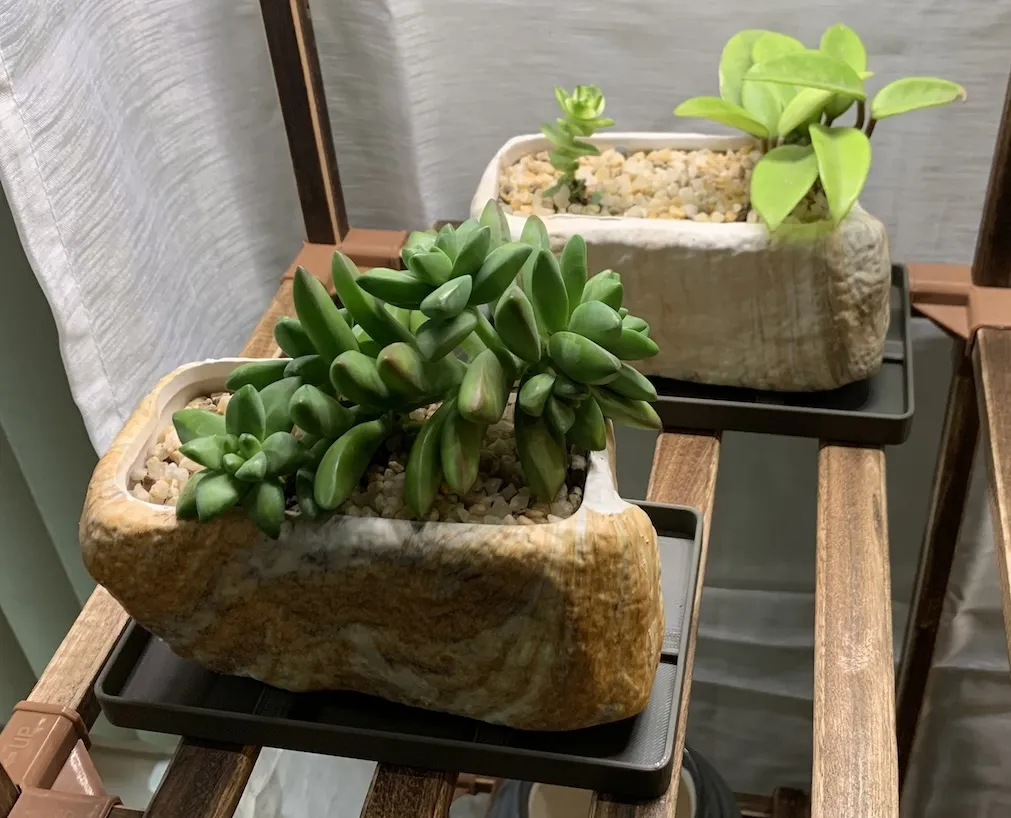 Tiêu đề Đĩa trồng cây hình chữ nhật Tóm tắt Đĩa đựng ch