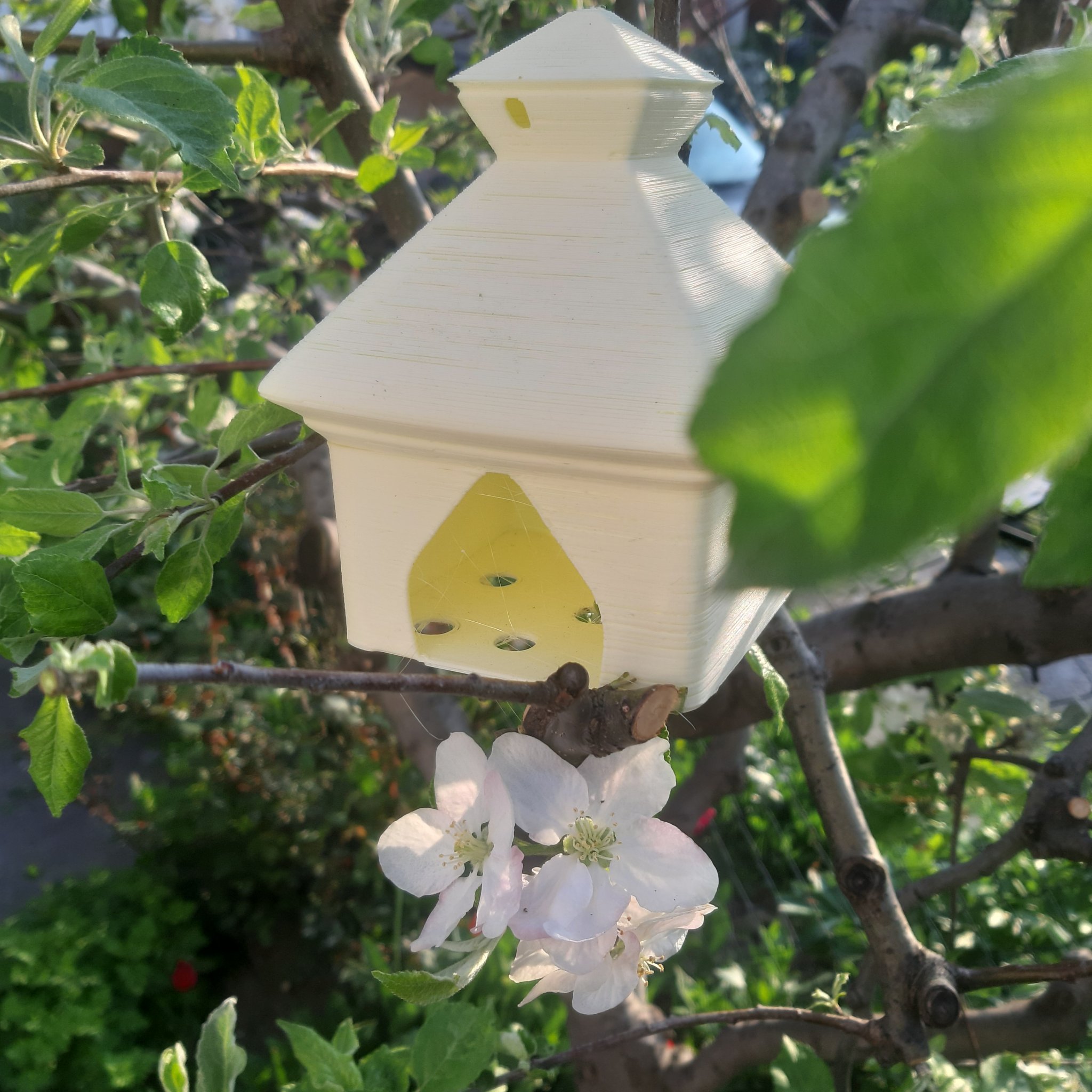 Birdhouse Smol
