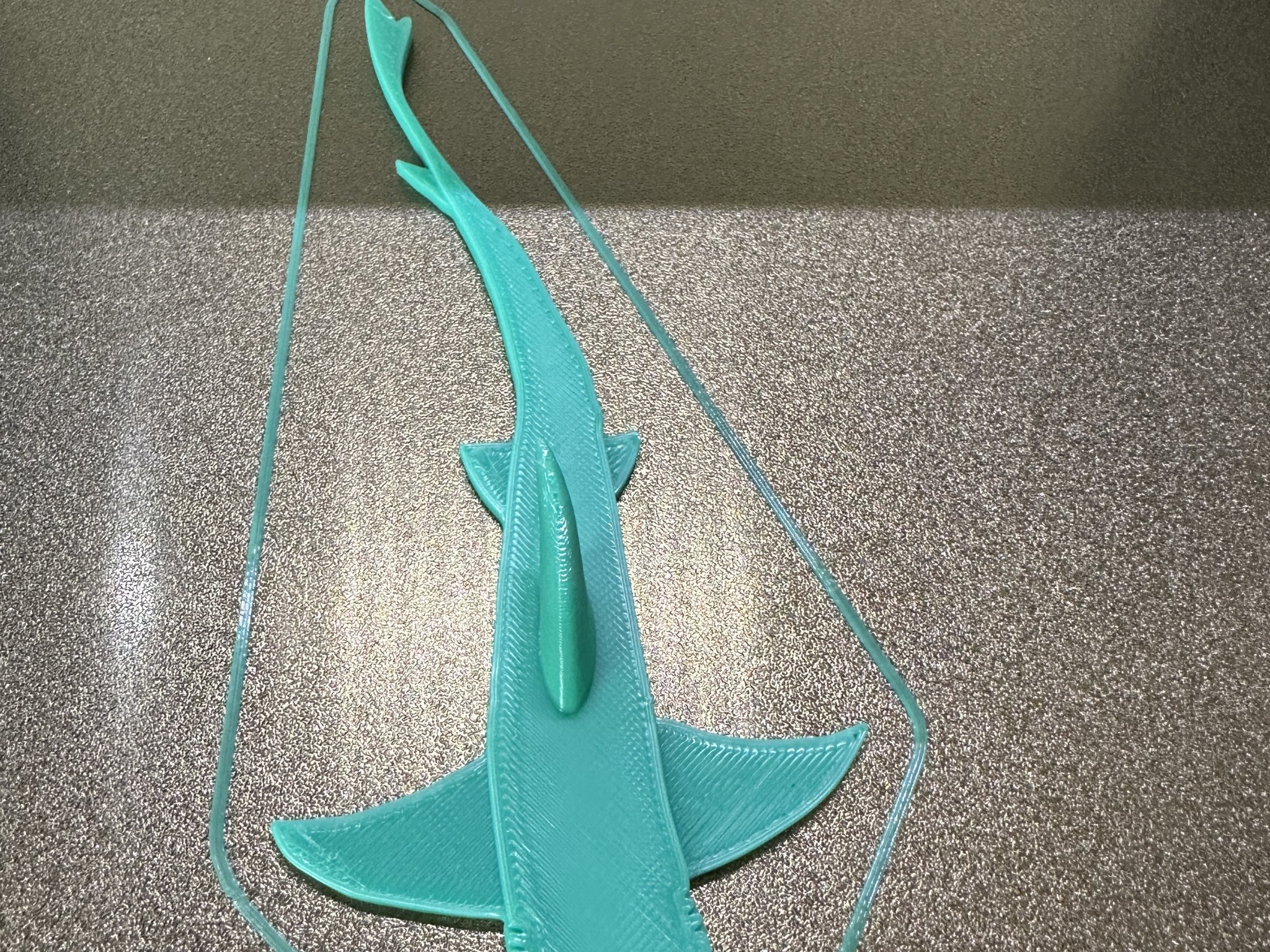 Móc cá mập gắn bằng keo