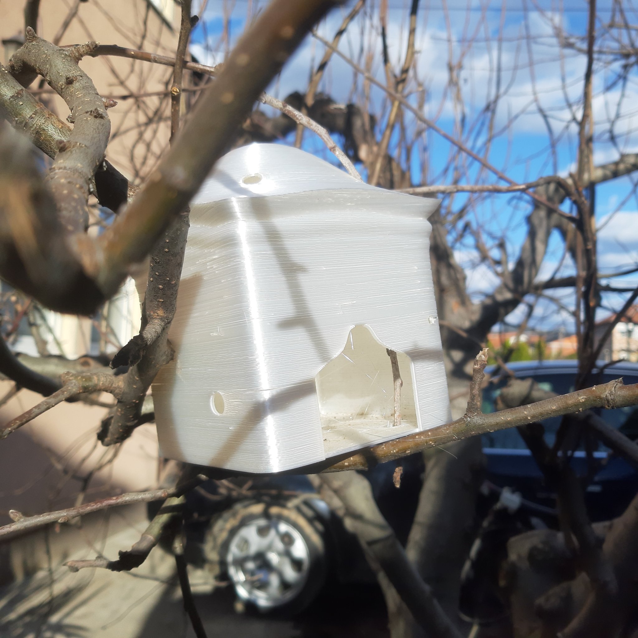 Nhà Chim Neo (Birdhouse Neo)