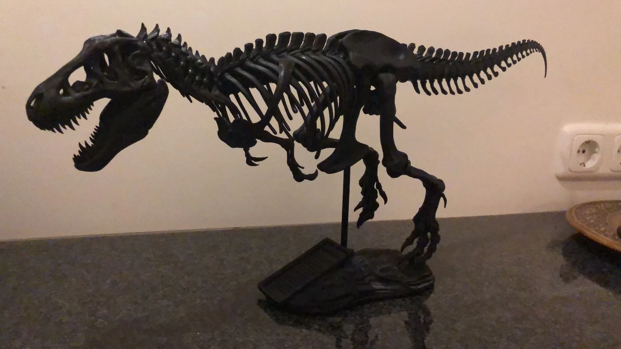 Tiêu đề Đế đá T-rex có chữ Tóm tắt Nửa mặt trước của