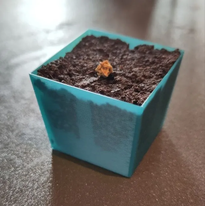 Chậu Ươm Có Nắp Cho Eazy Plug CT77