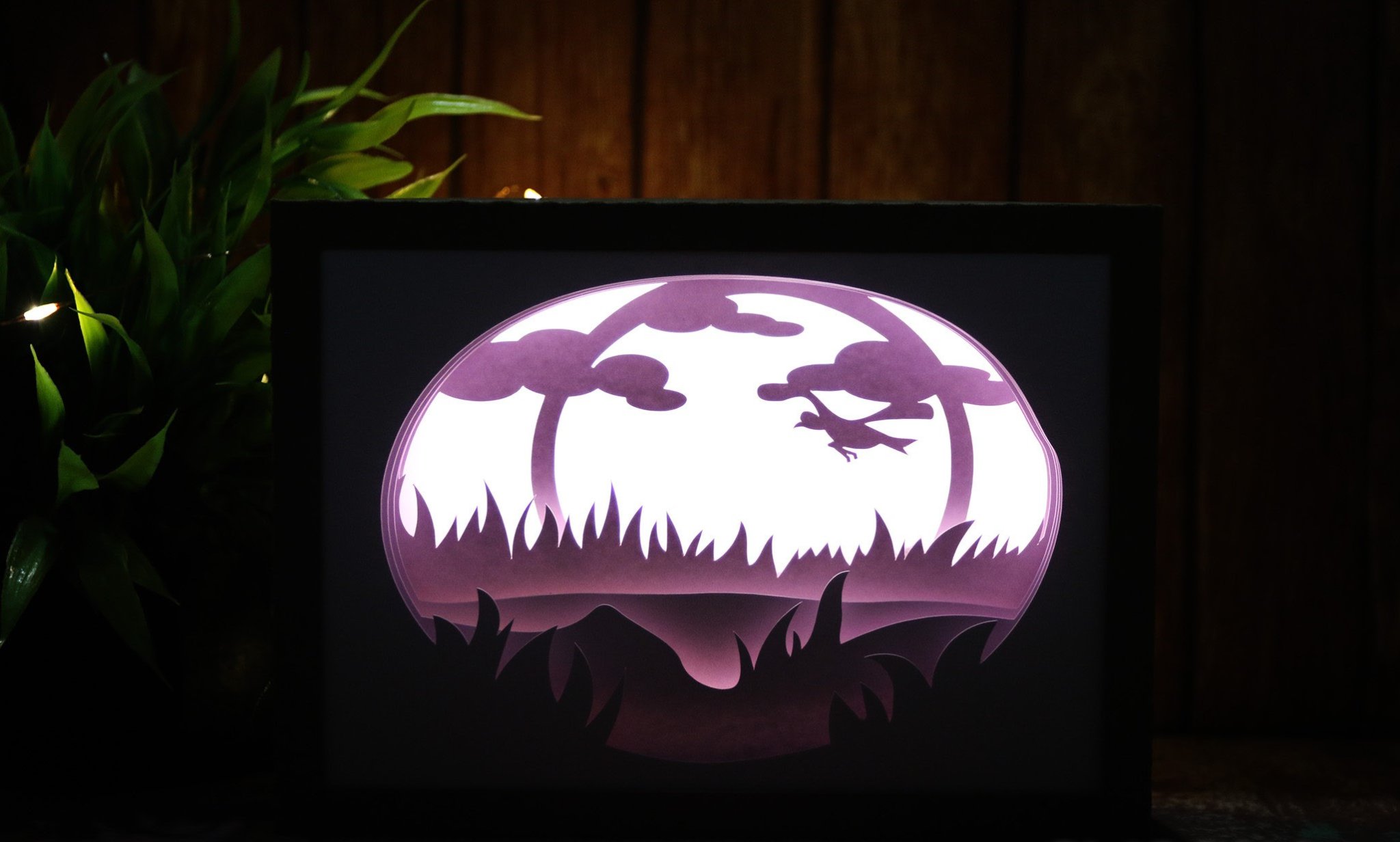 Hộp Đèn Bình Minh Rực Rỡ