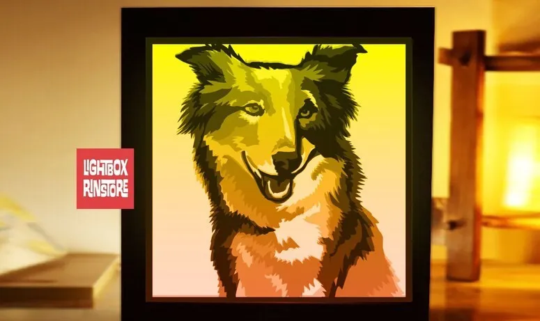 Tiêu đề hộp đèn border collie Tóm tắt mua đèn chiếu sáng từ