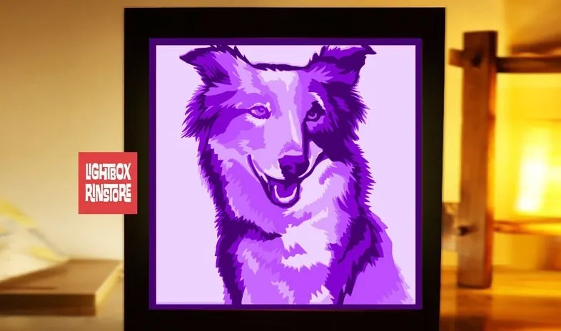 Tiêu đề hộp đèn border collie Tóm tắt mua đèn chiếu sáng từ