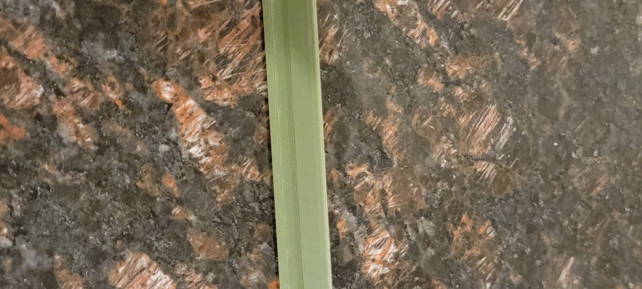 Tiêu đề Trang trí cọc cỏ Lễ tạ ơn Tóm tắt Biến ngôi nhà