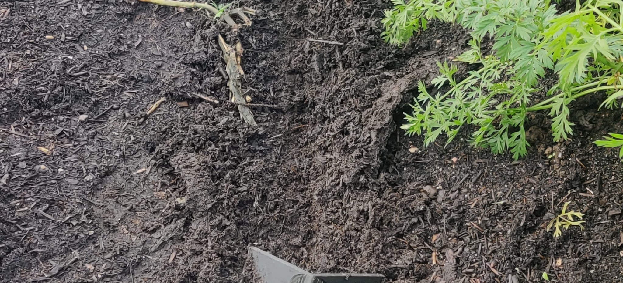 Cái Cày Tay (Handplow)