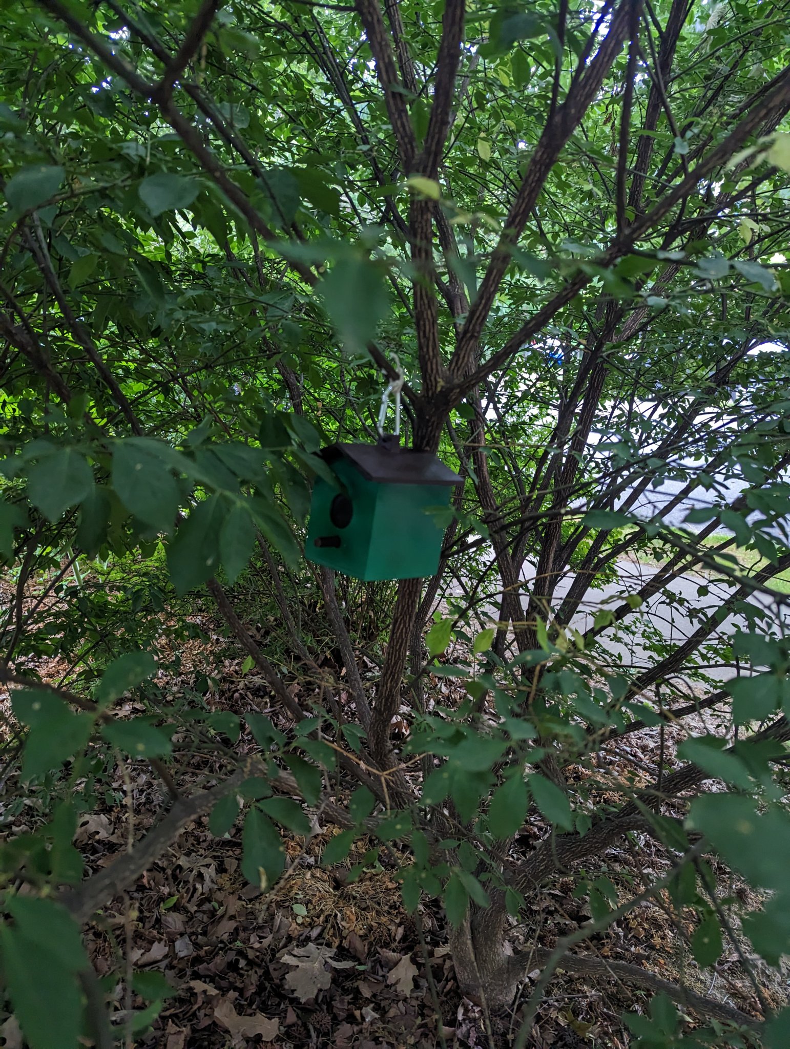 Tiêu đề Birdhouse Geocache - Perch Pin Tóm tắt Hộp chứa Geocaching