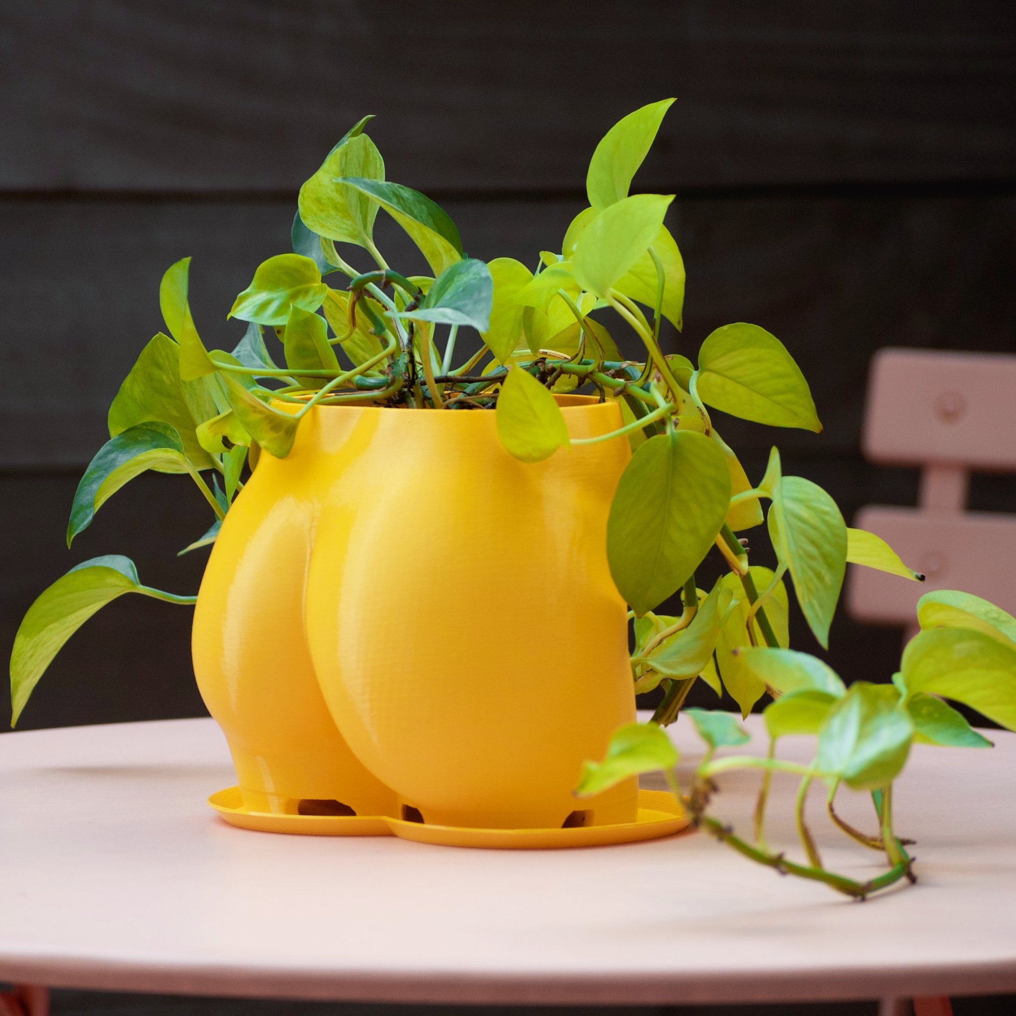 Chậu Trồng Cây Hình Mông 2023