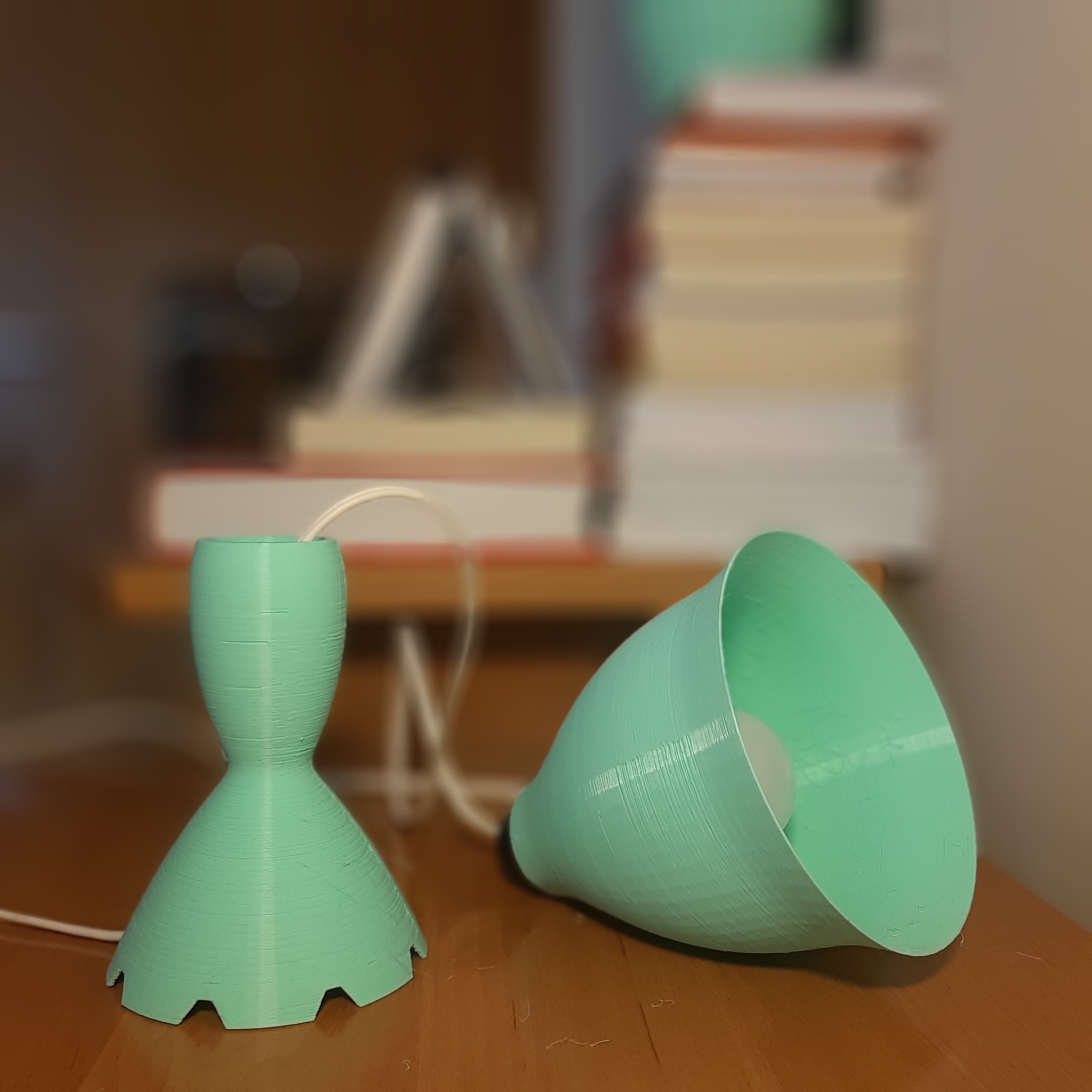 Flower Lamp by 3esign.eth