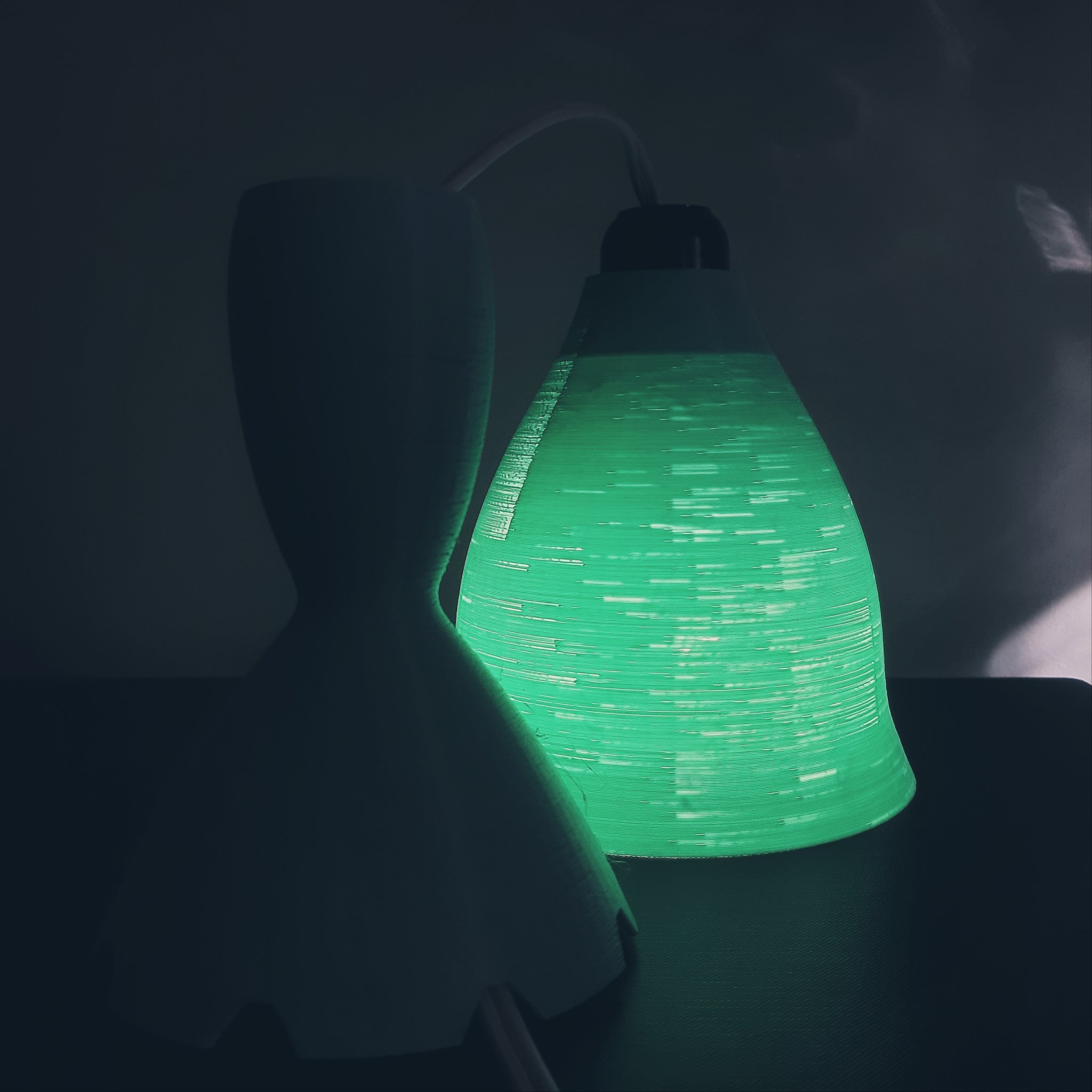 Flower Lamp by 3esign.eth