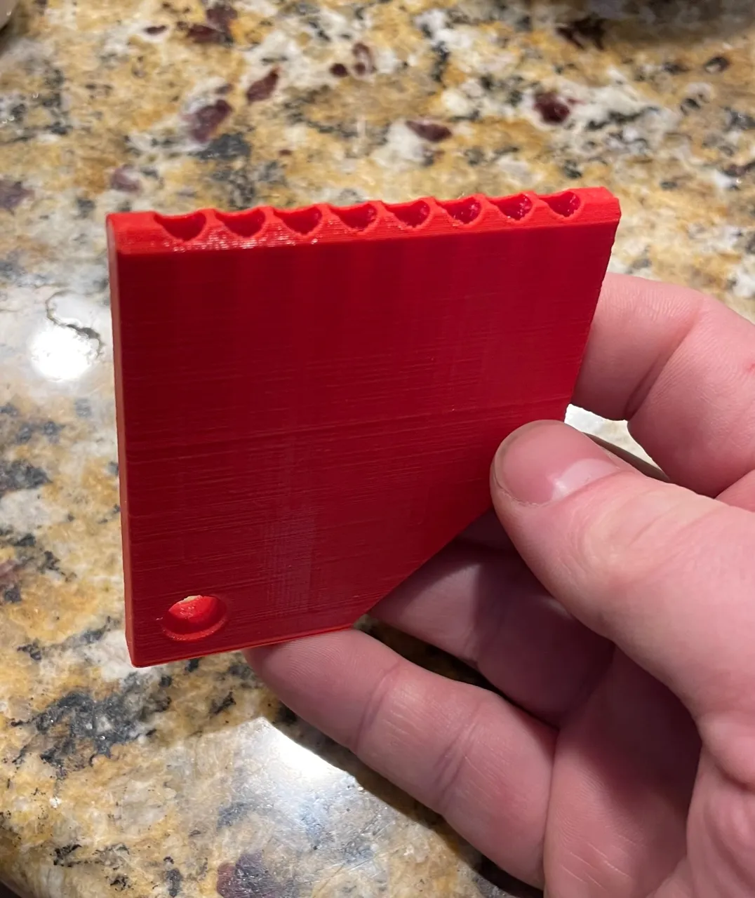 Điều Con Muốn Giáng Sinh Này Là Sáo Mèo