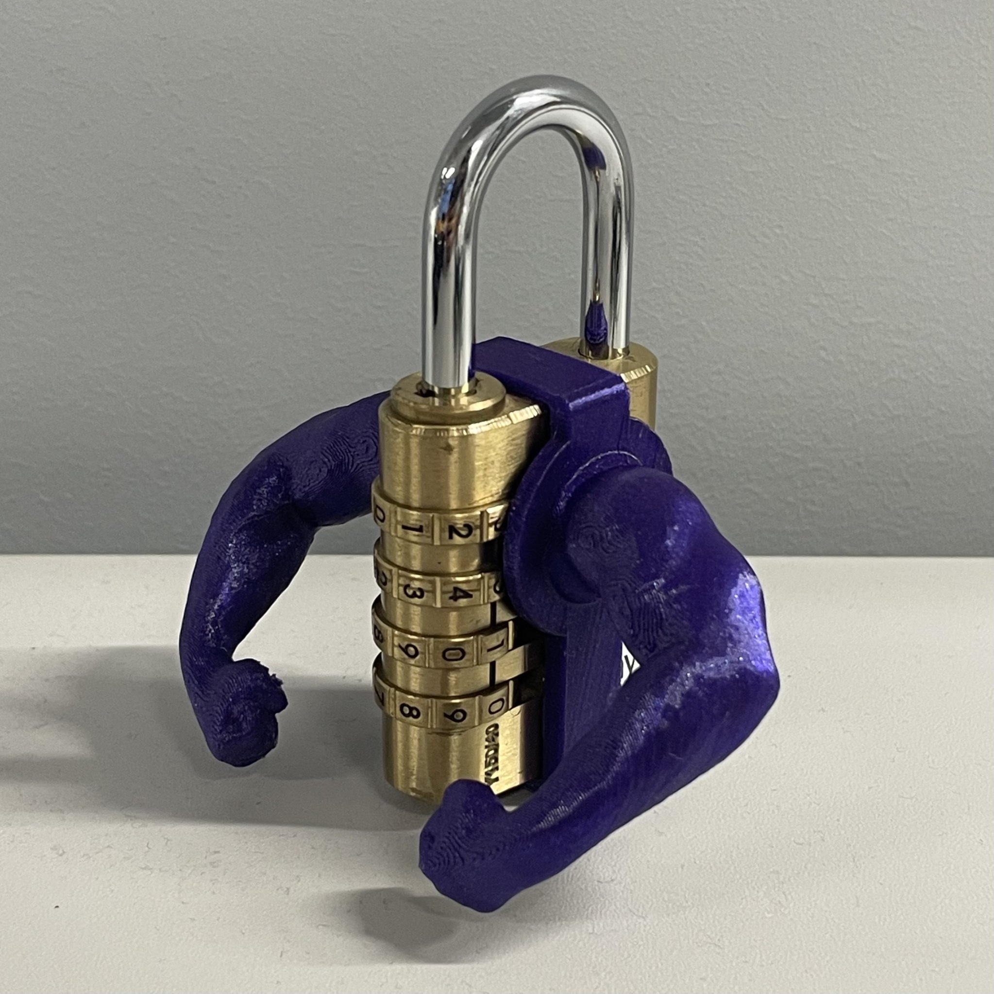 Tiêu đề Ổ khóa cơ bắp phòng tập thể dục Tóm tắt Cơ bắp