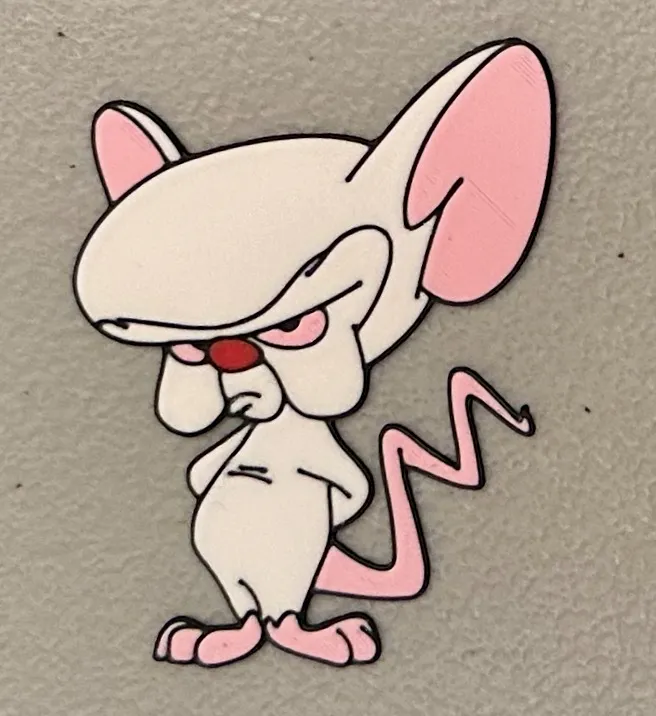 Nam Châm Hình Não Bộ In Đa Sắc Màu