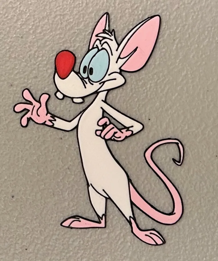 Nam Châm Ngón Út Nhiều Màu