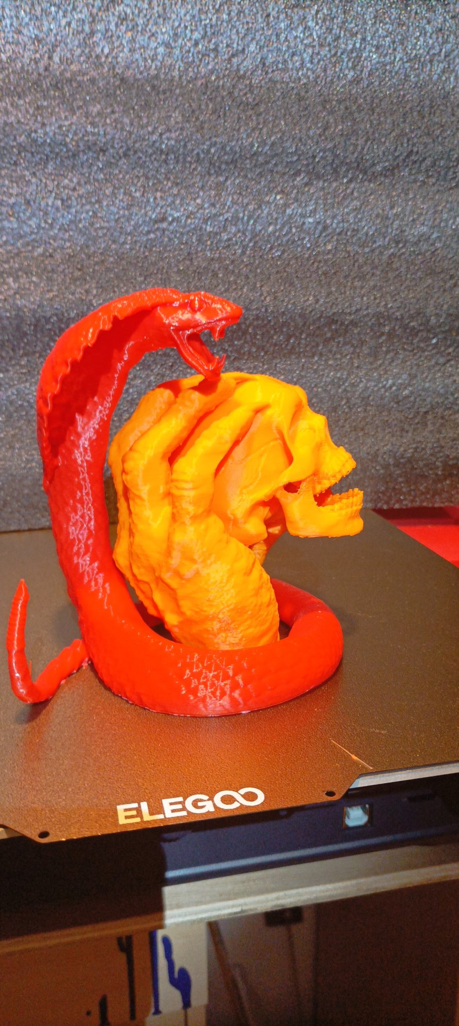 Con Rắn Cho Mẫu Đầu Lâu Trong Tay