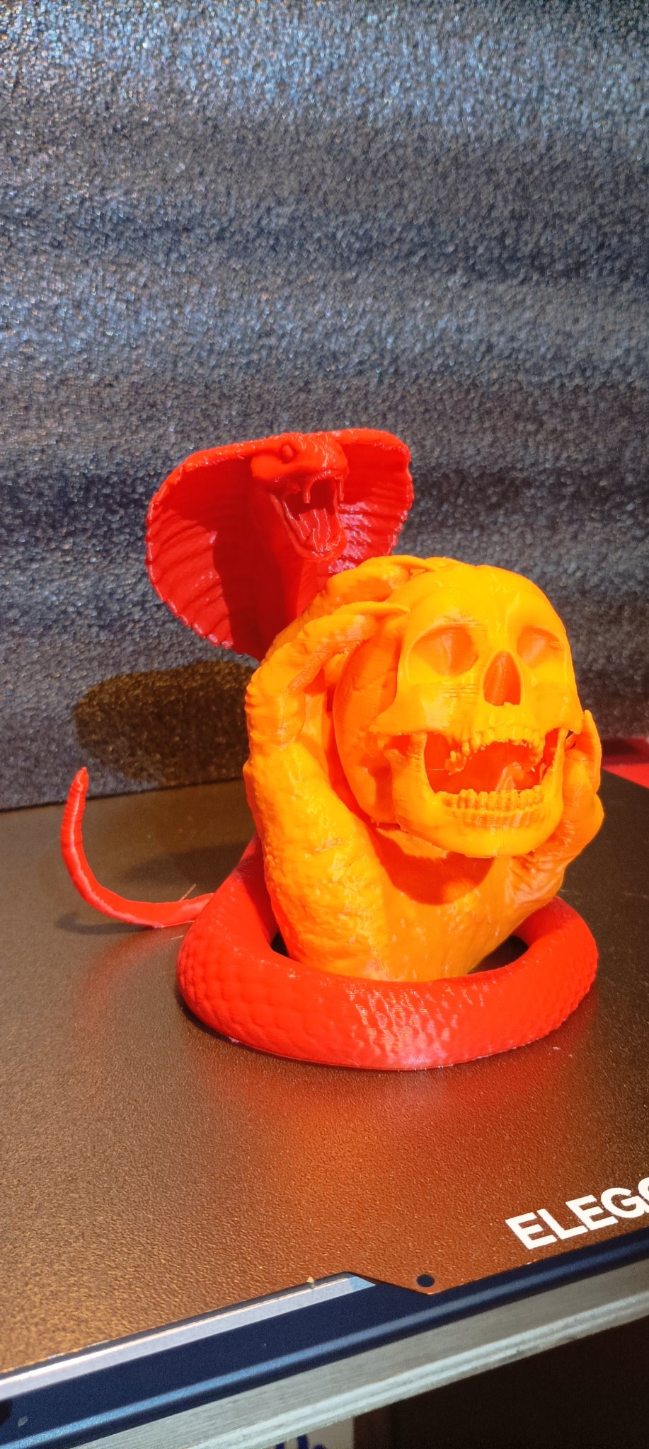 Con Rắn Cho Mẫu Đầu Lâu Trong Tay