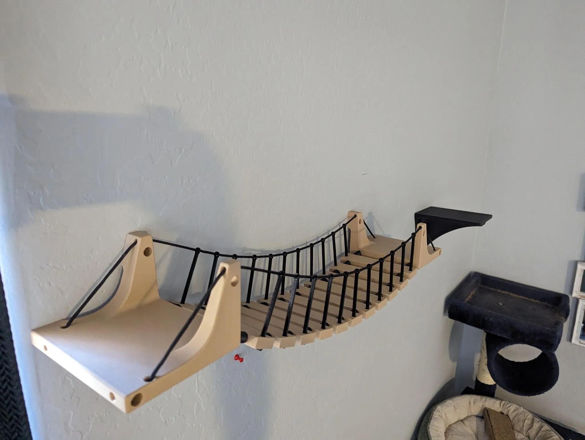 Cầu và bậc thang treo tường cho mèo