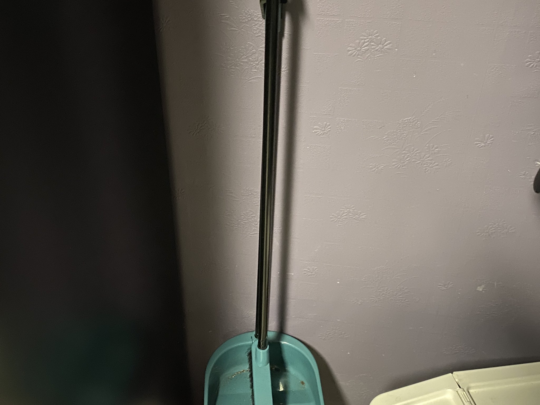 Tiêu đề Cây chổi đơn giản bạn cần có Tóm tắt Ước gì b