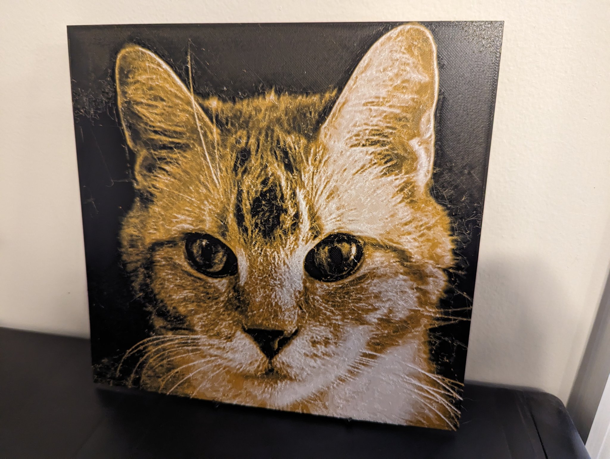 Chân Dung Mèo (HueForge)