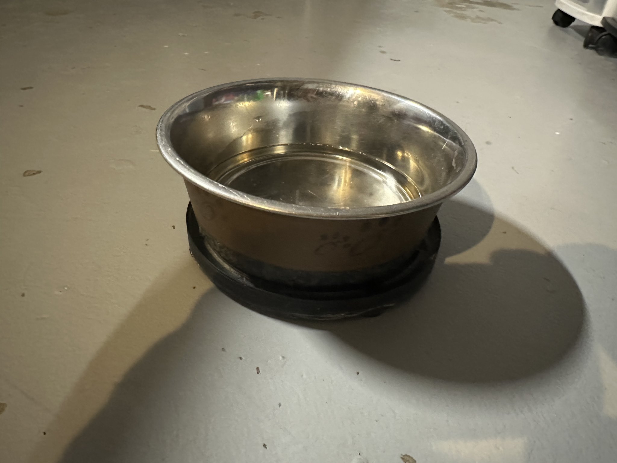 Đế Lót Chén Cho Chó Dễ In