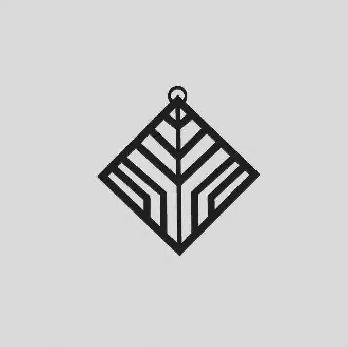 BÔNG TAI HÌNH HỌC