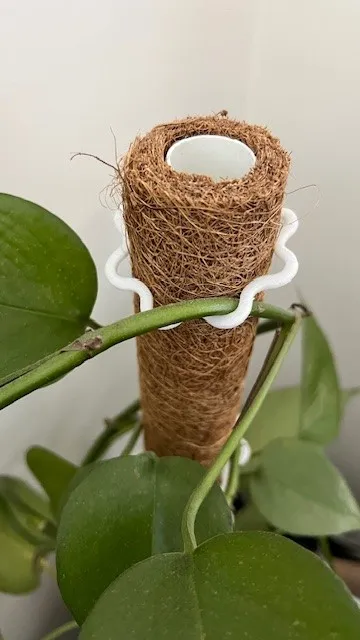 Tiêu đề Kẹp cây leo Tóm tắt Kẹp hoàn hảo xung quanh cọc xơ