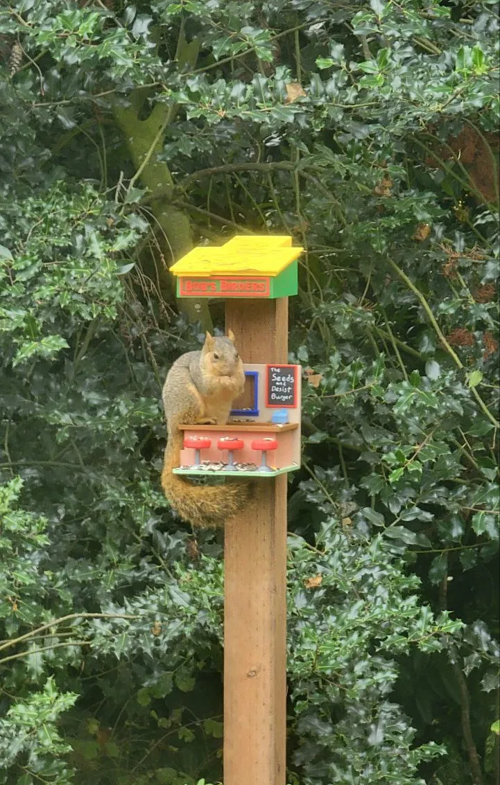 Tiêu đề Bobs Birders Máy cho chim và sóc ăn Tóm tắt Một nhà