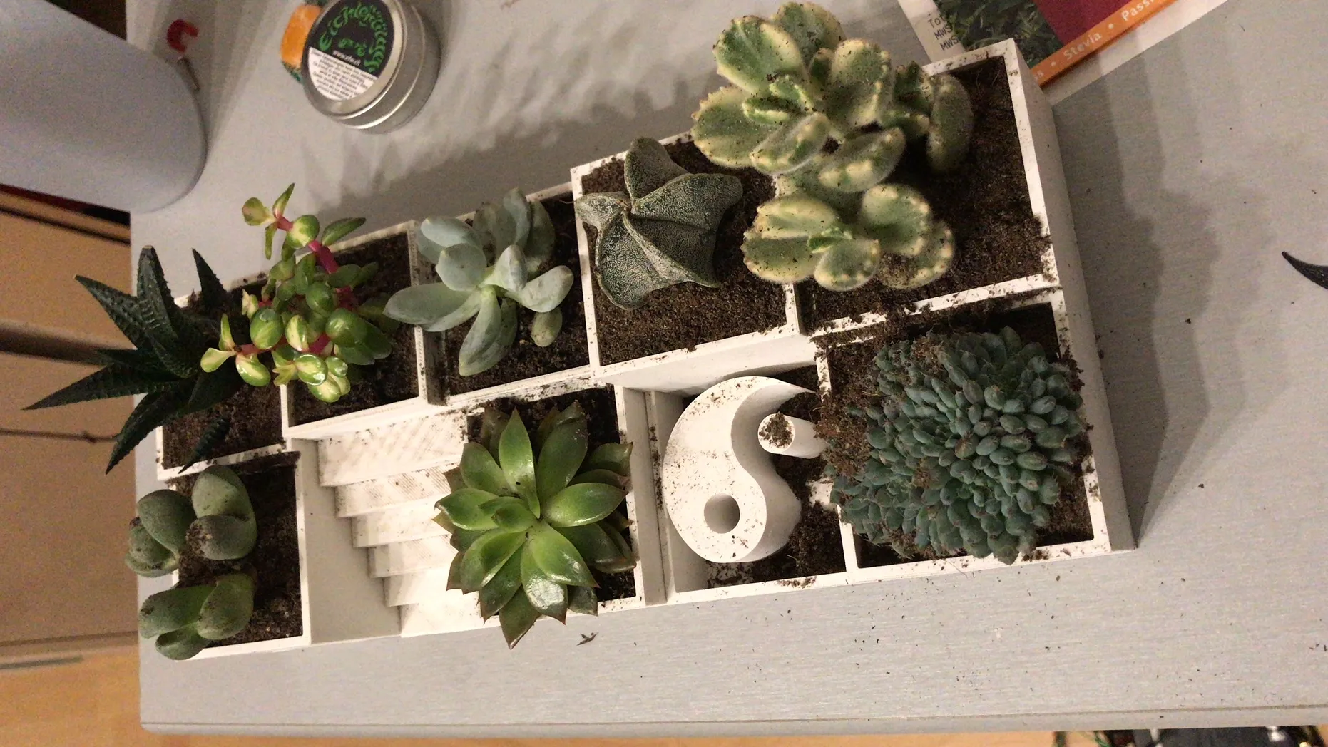 Tiêu đề Vườn Thiền với ÂmDương Tóm tắt Tôi muốn có mộ