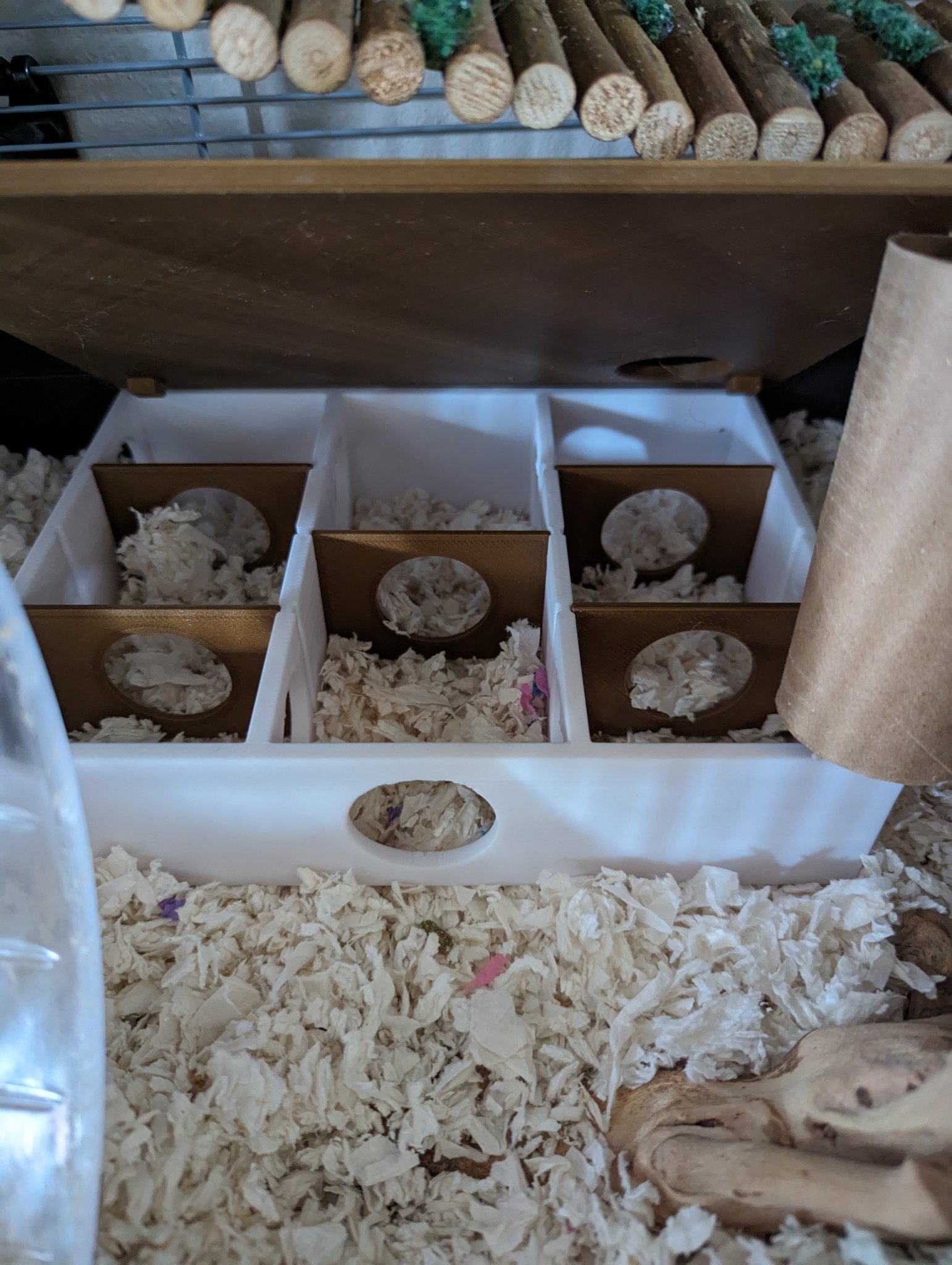 Tiêu đề Hamster Multi-Chamber Hideout Tóm tắt Nơi ẩn náu của chu