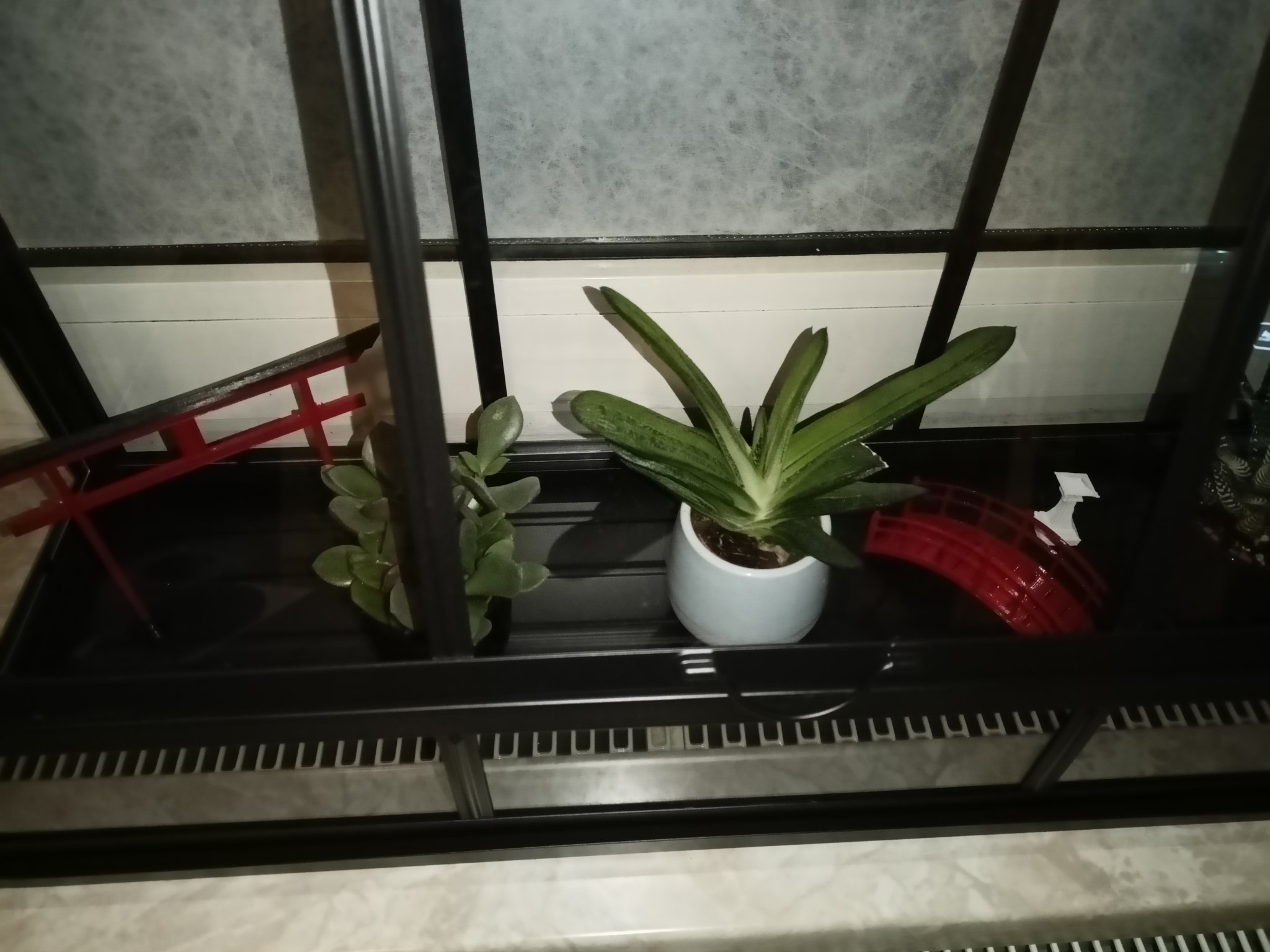 Tiêu đề Đồ trang trí nhỏ cho khu vườn thiền ở khắp mọi nơ