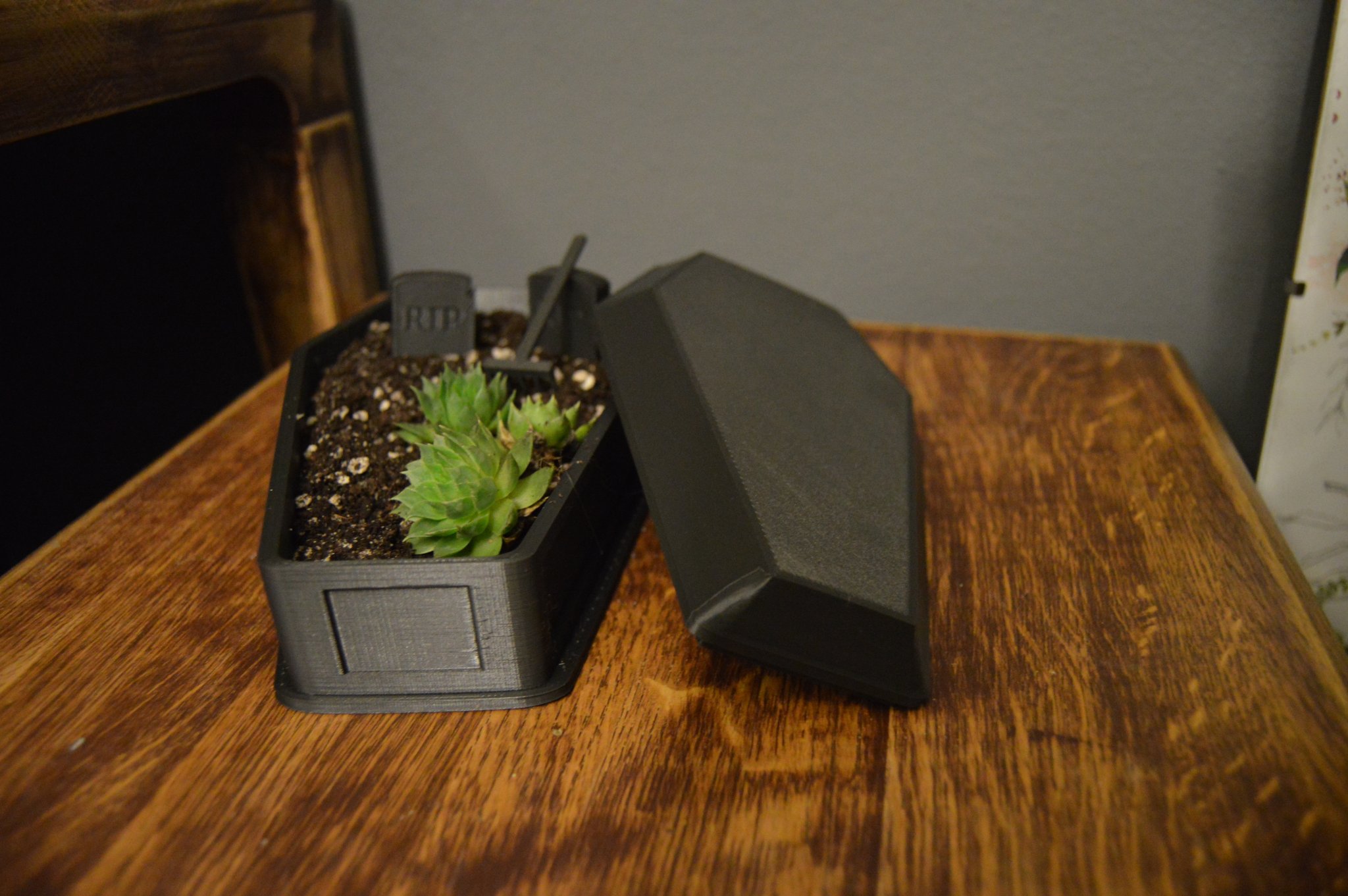 Tiêu đề Vườn thiền quan tàichậu hoa Tóm tắt Vườn thiền qu