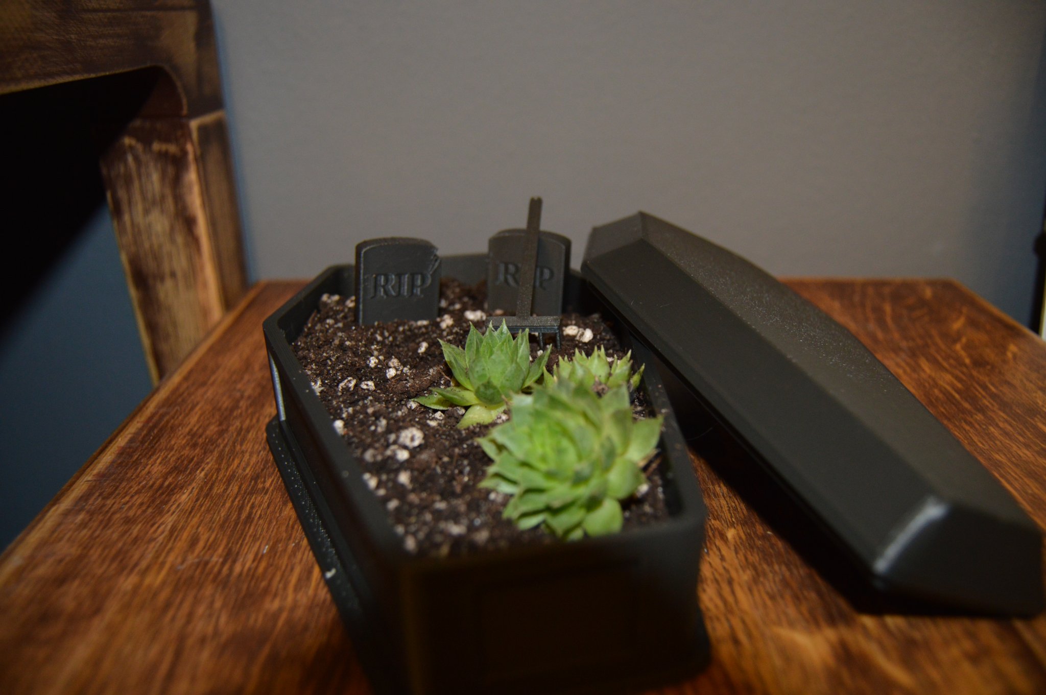 Tiêu đề Vườn thiền quan tàichậu hoa Tóm tắt Vườn thiền qu