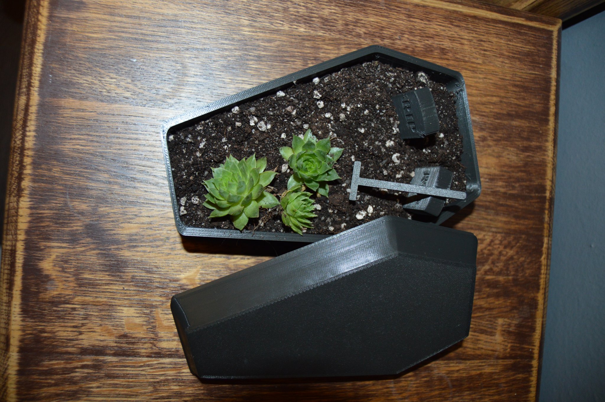 Tiêu đề Vườn thiền quan tàichậu hoa Tóm tắt Vườn thiền qu