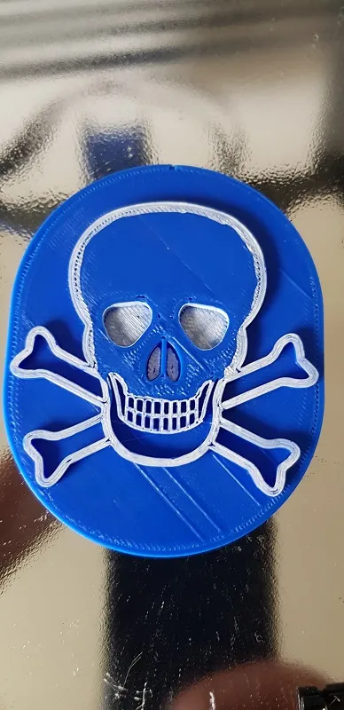 Médaillon tête de mort/skull medallion