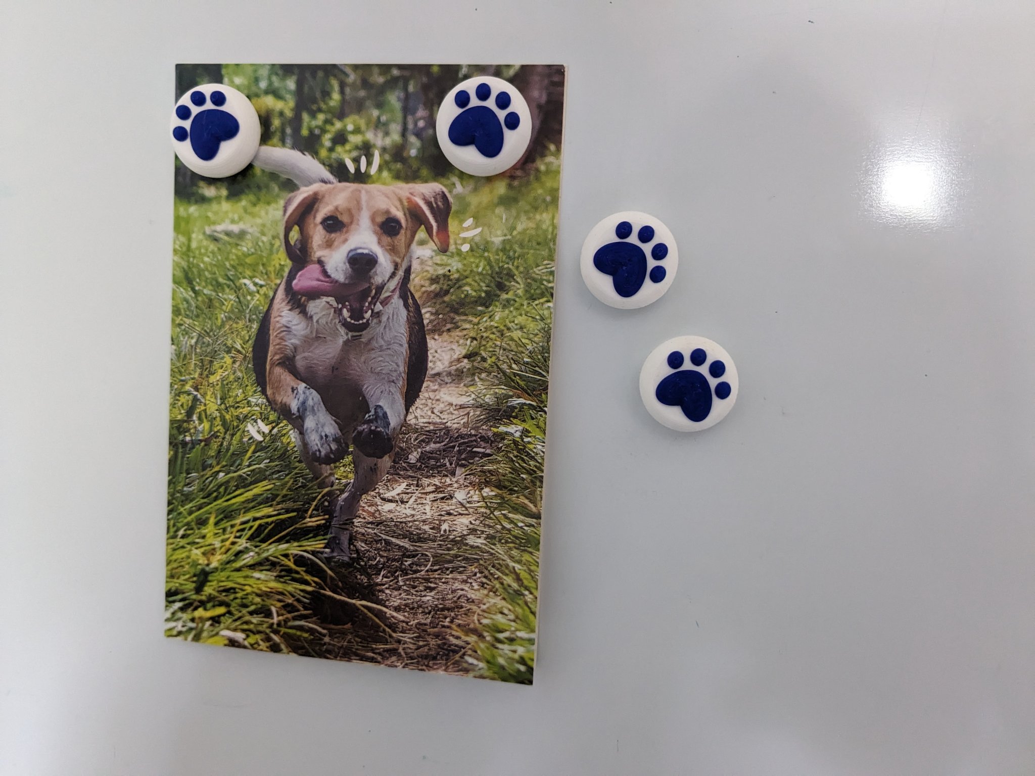 Tiêu đề Nam châm tủ lạnh Paw Tóm tắt Nam châm gắn tủ lạnh