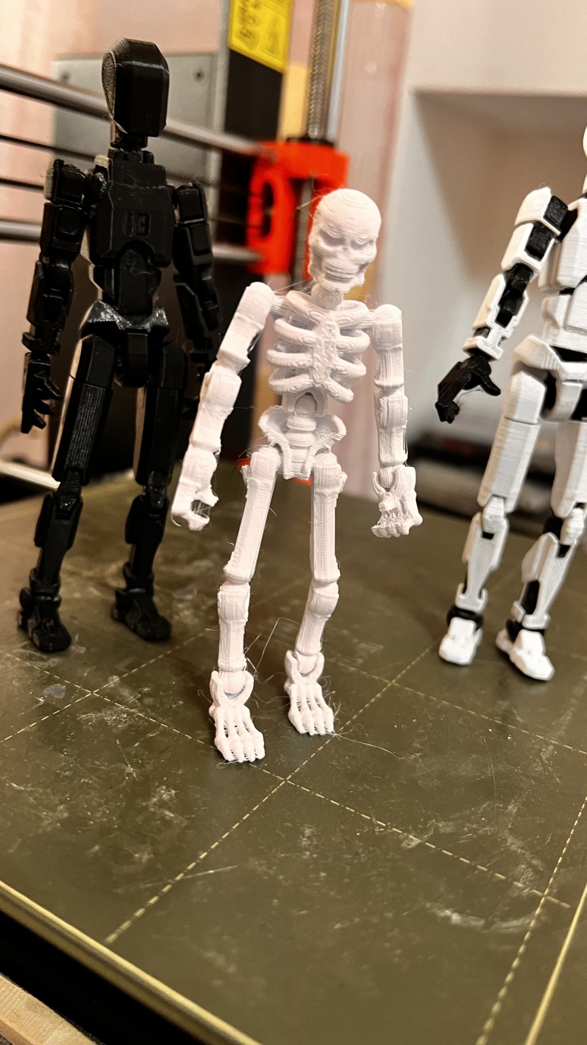 Mô hình bộ xương "snicket"